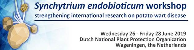 Synchytrium endobioticum Workshop