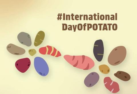 International Day of Potato